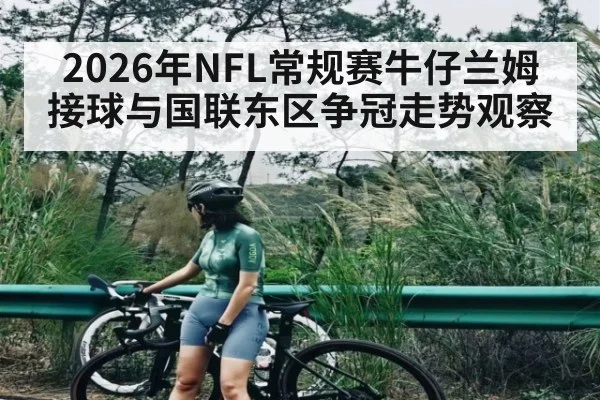 2026年NFL常规赛牛仔兰姆接球与国联东区争冠走势观察